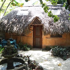 Casitas Kinsol